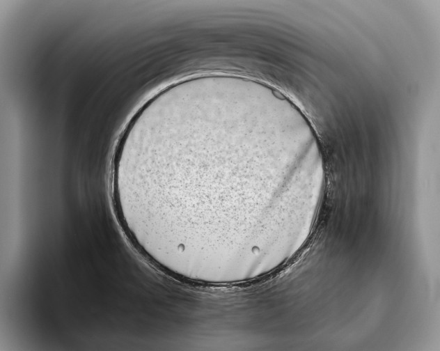 X0000093461523200711091540