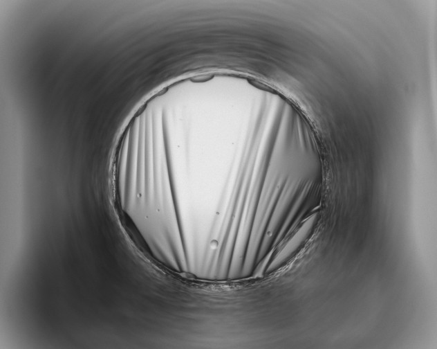 X0000093461524200711091540