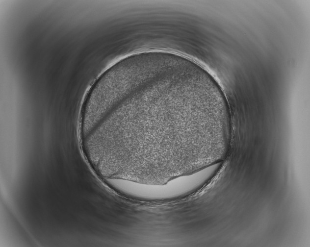 X0000093461525200711091540