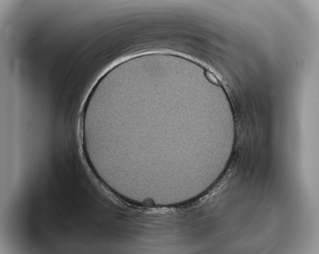 X0000093461526200711091540