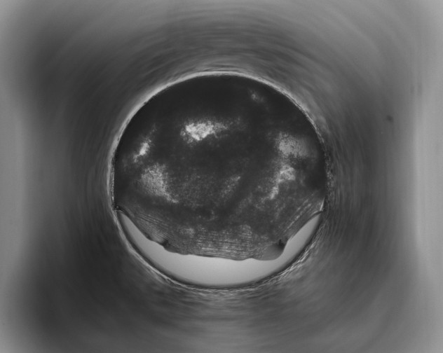 X0000093461527200711091540