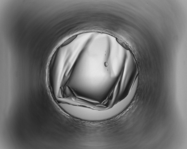 X0000093461528200711091540