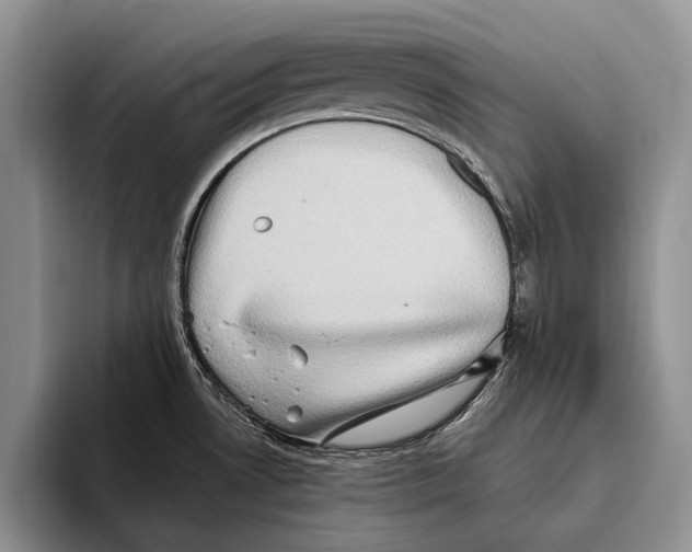 X0000093461530200711091540