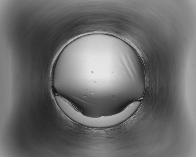 X0000093461532200711091540