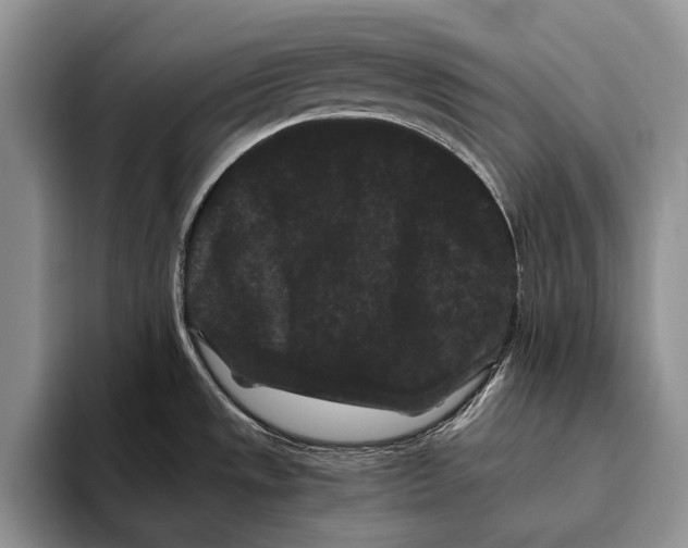 X0000093461533200711091540