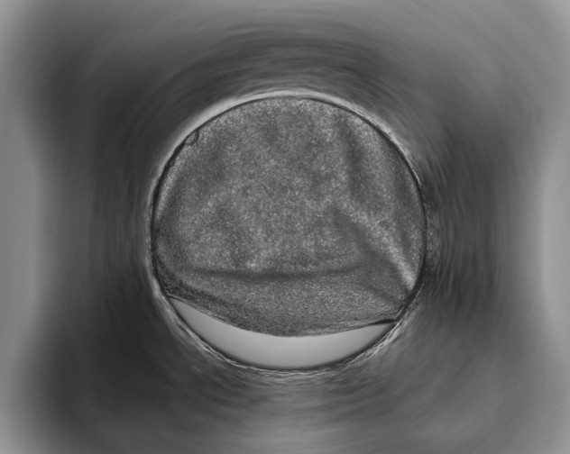 X0000093461534200711091540