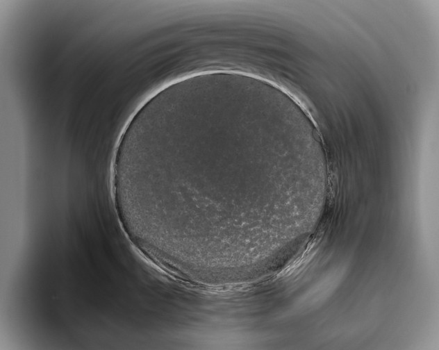 X0000093461535200711091540