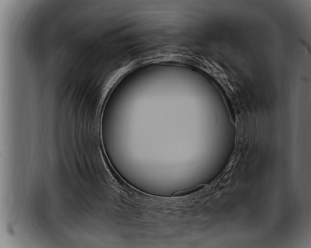X0000093470003200710121020