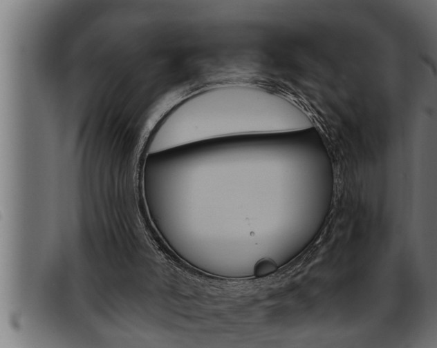 X0000093470006200710121020