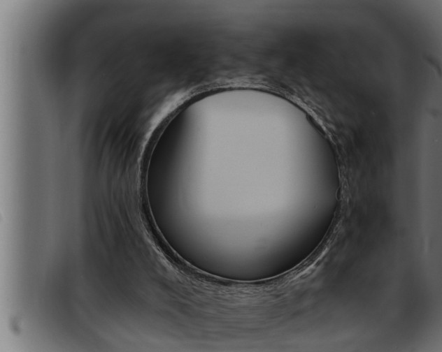X0000093470008200710121020