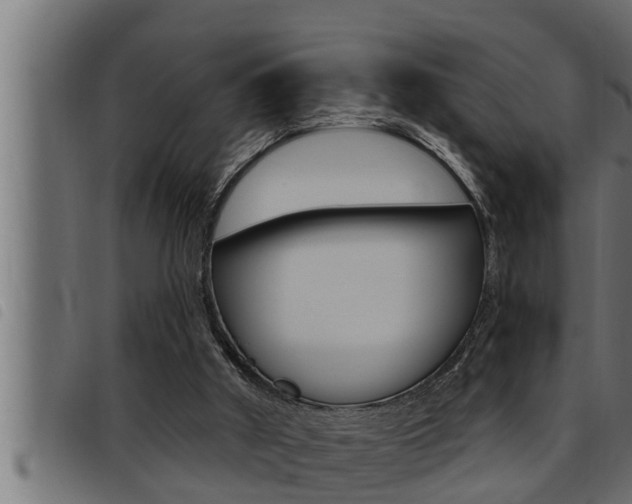 X0000093470010200710121020