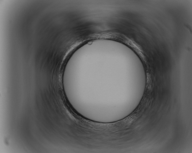 X0000093470012200710121020