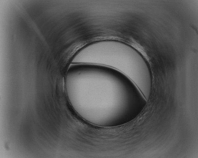 X0000093470013200710121020