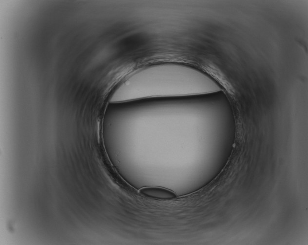 X0000093470014200710121020