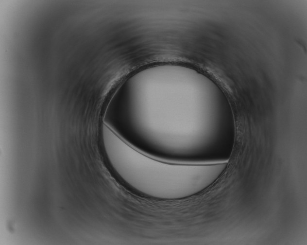 X0000093470015200710121020