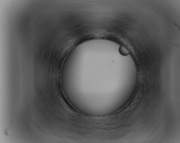X0000093470018200710121020