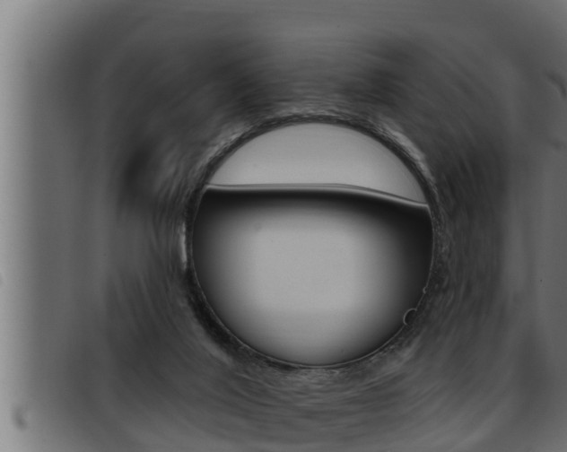 X0000093470020200710121020