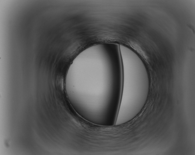 X0000093470021200710121020