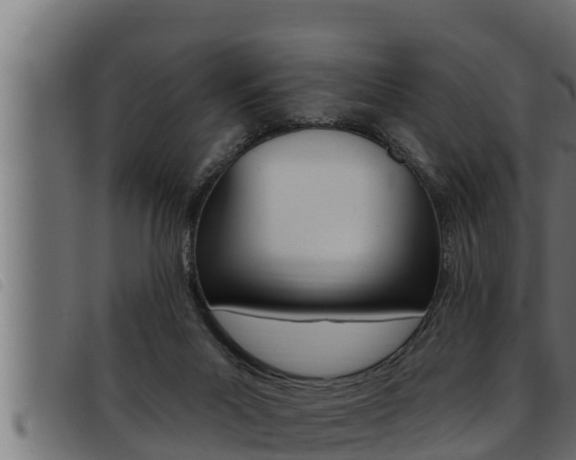 X0000093470023200710121020