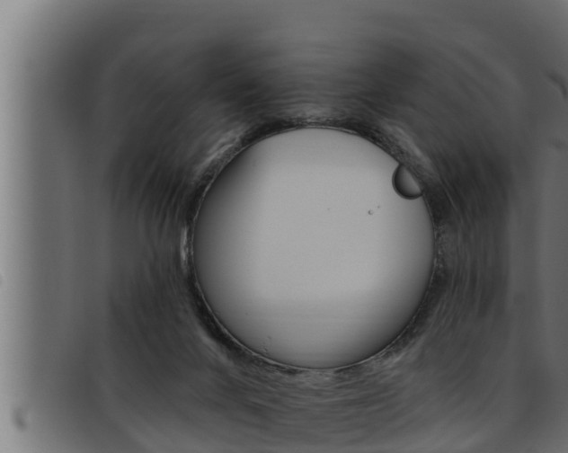X0000093470024200710121020