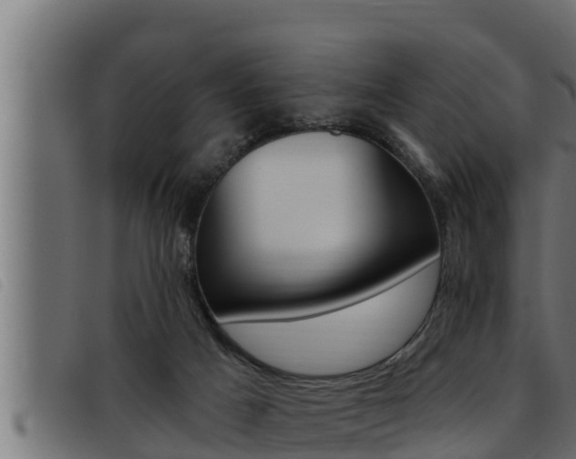 X0000093470025200710121020