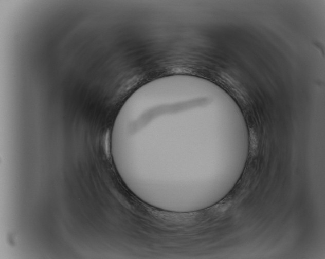 X0000093470028200710121020