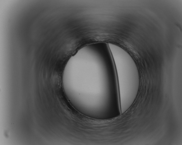 X0000093470031200710121020