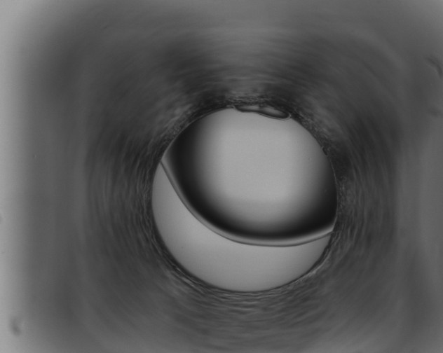 X0000093470033200710121020
