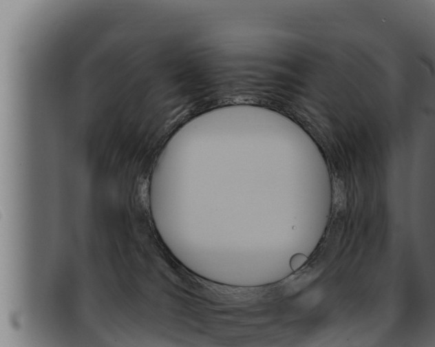 X0000093470036200710121020