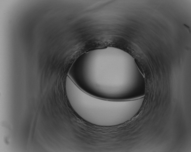 X0000093470037200710121020