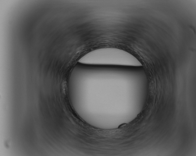 X0000093470038200710121020