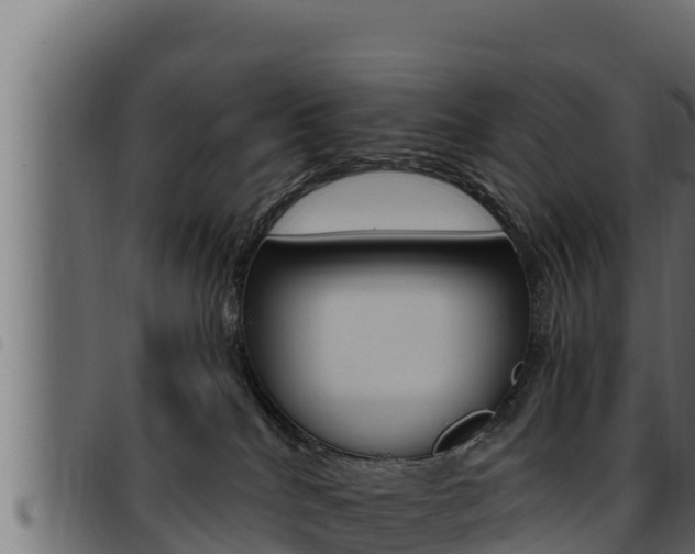 X0000093470040200710121020