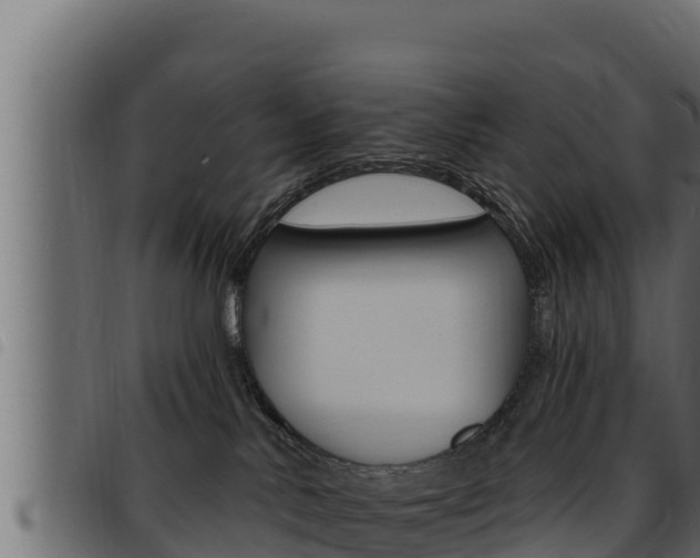 X0000093470042200710121020