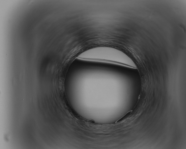 X0000093470044200710121020