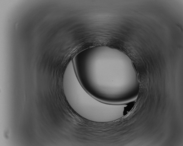 X0000093470045200710121020