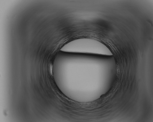 X0000093470046200710121020