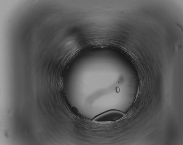 X0000093470048200710121020