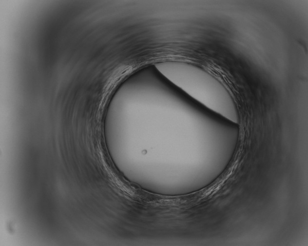 X0000093470049200710121019