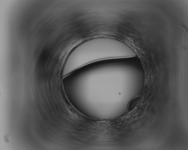 X0000093470050200710121019