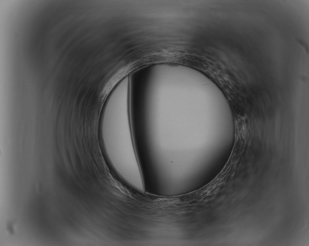 X0000093470051200710121019