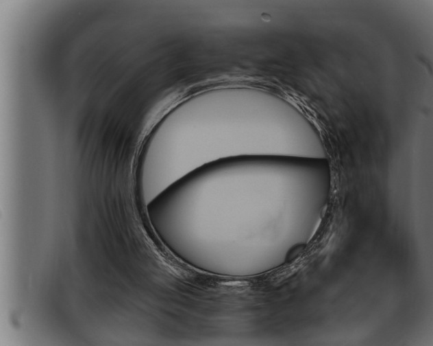 X0000093470053200710121019
