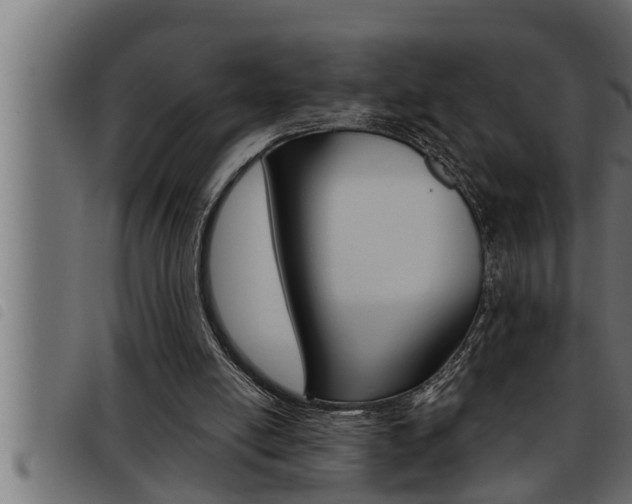 X0000093470054200710121019