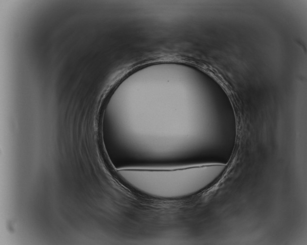 X0000093470055200710121019