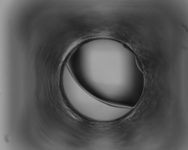 X0000093470056200710121019