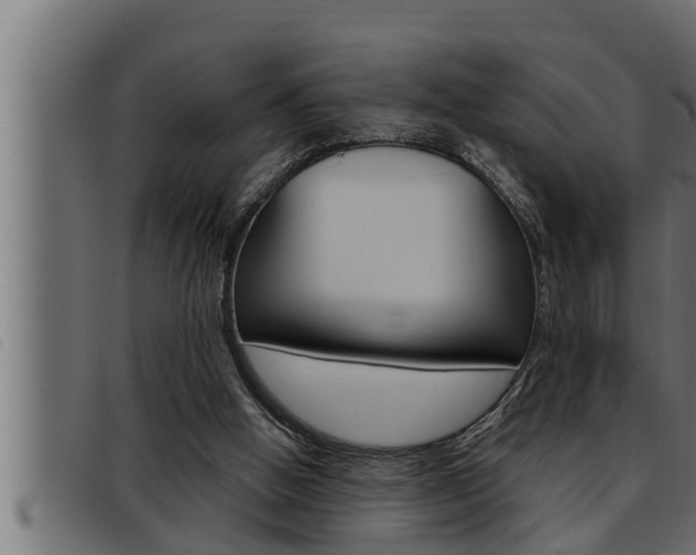 X0000093470058200710121019