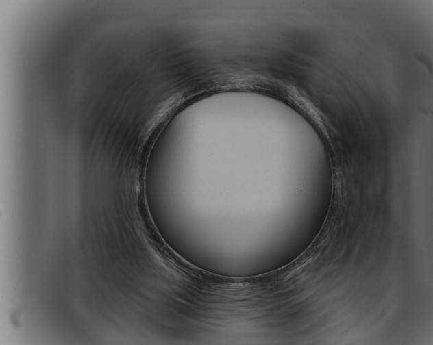 X0000093470059200710121019