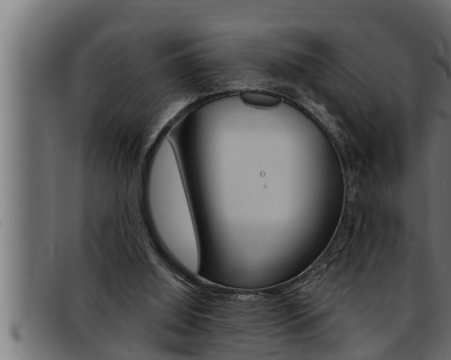X0000093470060200710121019