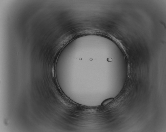 X0000093470061200710121019
