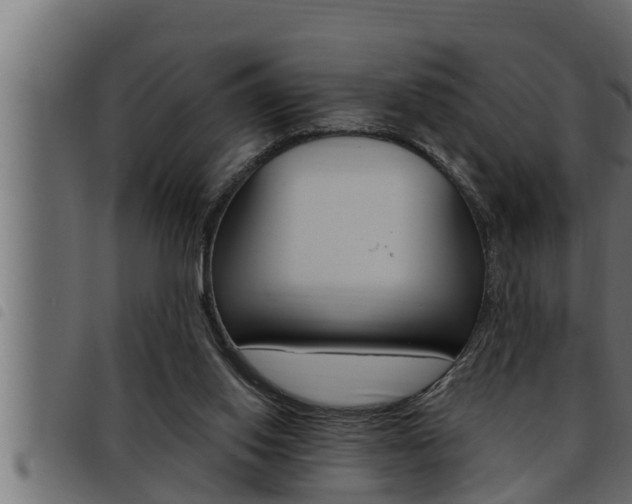 X0000093470062200710121019