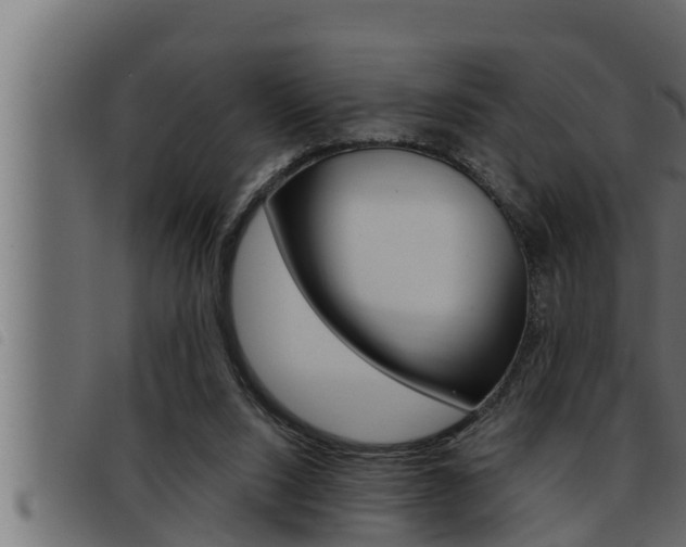 X0000093470064200710121019